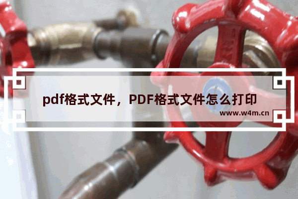 pdf格式文件，PDF格式文件怎么打印