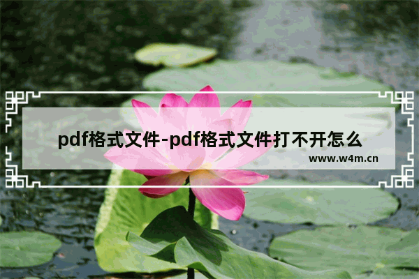 pdf格式文件-pdf格式文件打不开怎么办