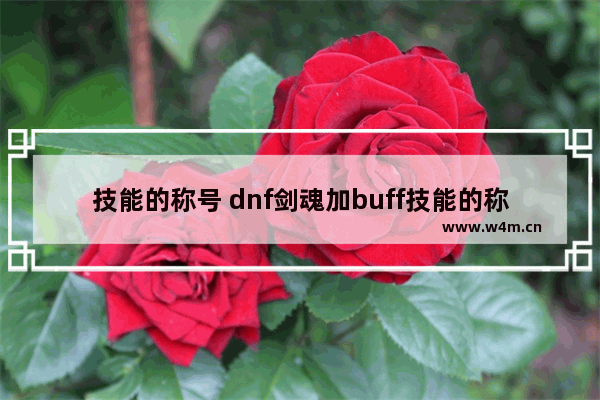 技能的称号 dnf剑魂加buff技能的称号