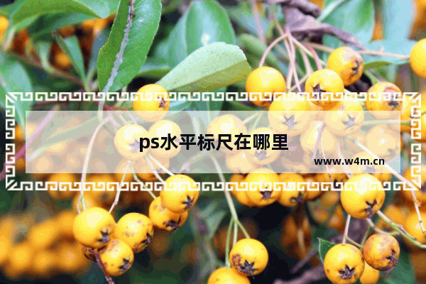 ps水平标尺在哪里