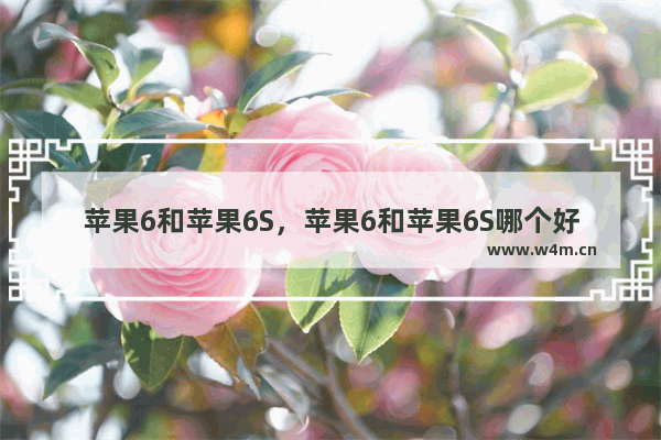 苹果6和苹果6S，苹果6和苹果6S哪个好