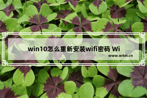 win10怎么重新安装wifi密码 Win10如何重新设置无线网络密码