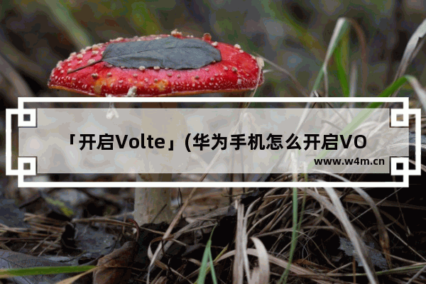 「开启Volte」(华为手机怎么开启VOLTE)