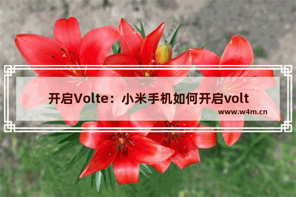 开启Volte：小米手机如何开启volte功能