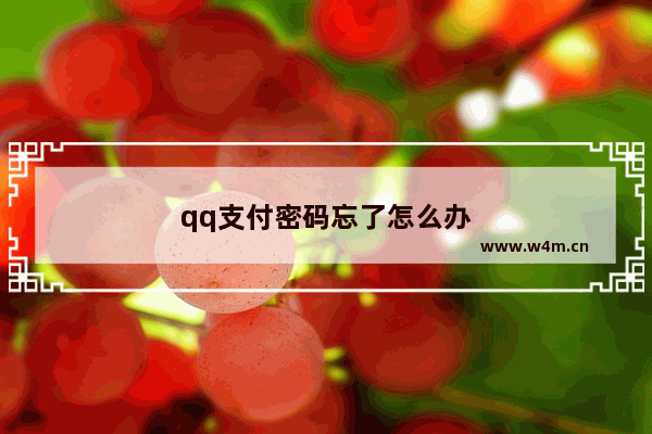 qq支付密码忘了怎么办