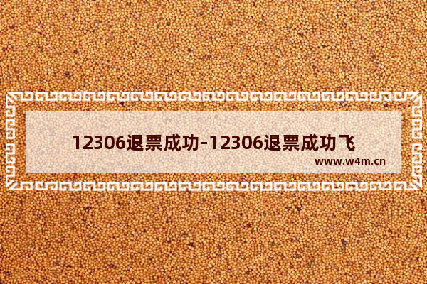 12306退票成功-12306退票成功飞猪退票失败