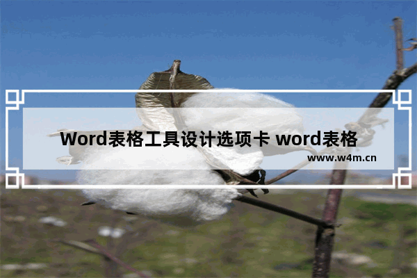 Word表格工具设计选项卡 word表格工具设计选项卡数据组