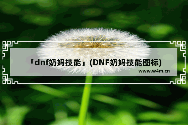 「dnf奶妈技能」(DNF奶妈技能图标)