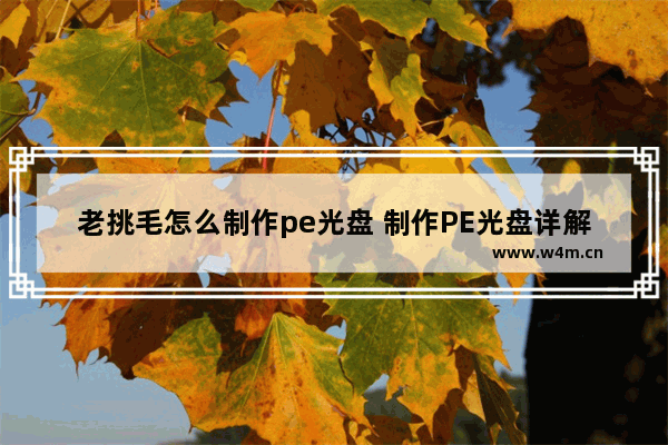 老挑毛怎么制作pe光盘 制作PE光盘详解