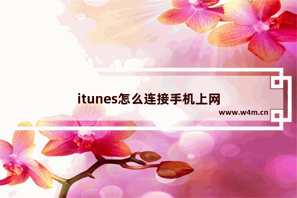 itunes怎么连接手机上网