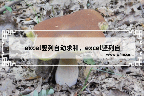 excel竖列自动求和，excel竖列自动求和为什么等于0