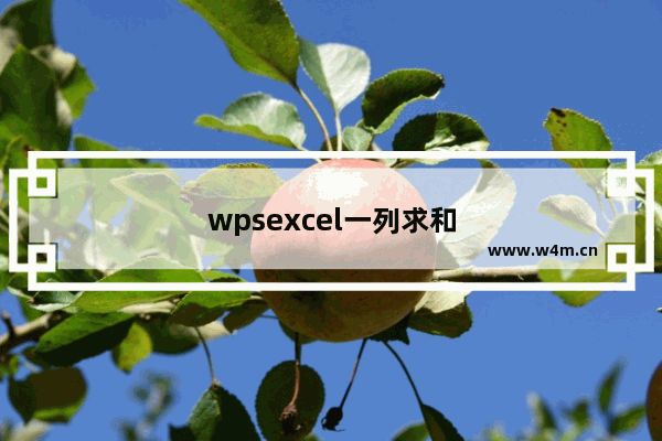 wpsexcel一列求和