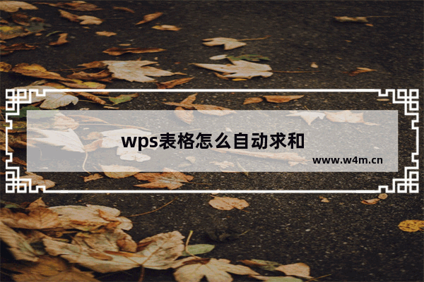 wps表格怎么自动求和