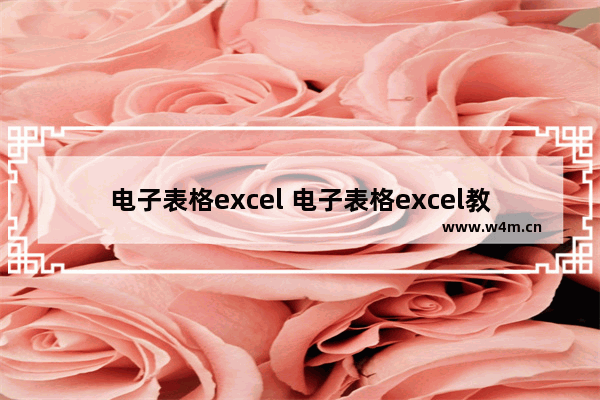 电子表格excel 电子表格excel教程教程