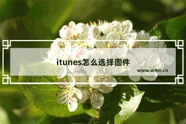 itunes怎么选择固件