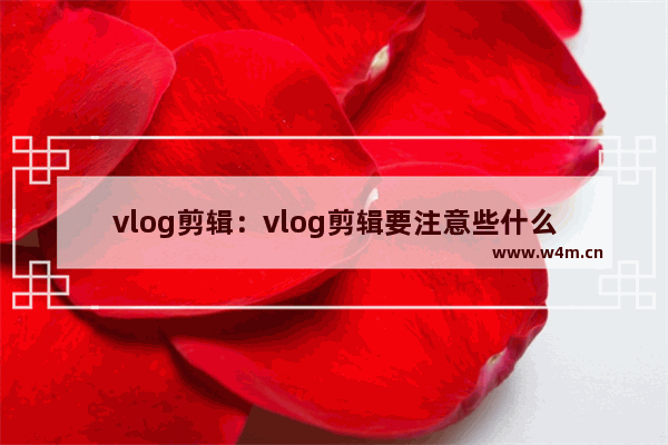 vlog剪辑：vlog剪辑要注意些什么