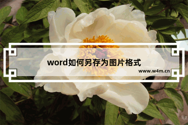 word如何另存为图片格式