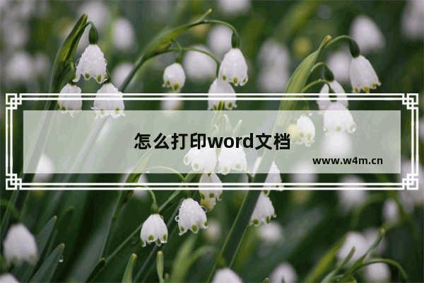 怎么打印word文档