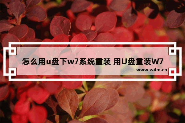 怎么用u盘下w7系统重装 用U盘重装W7系统的方法