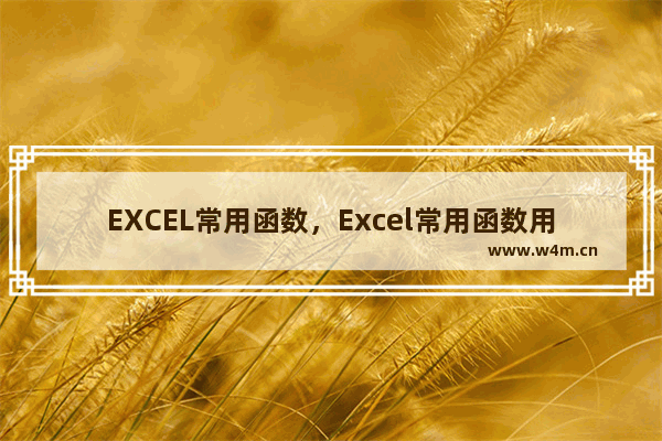 EXCEL常用函数，Excel常用函数用法