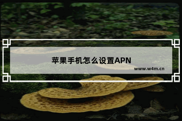 苹果手机怎么设置APN