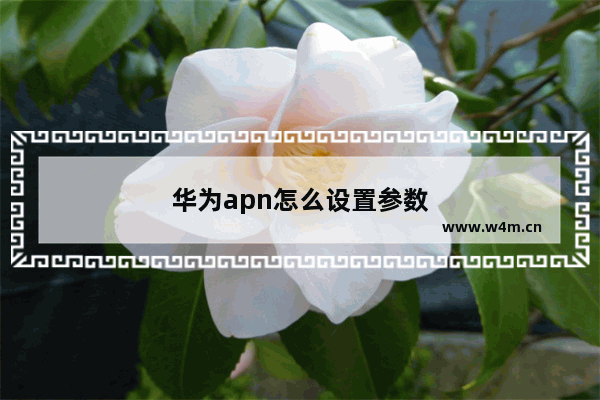 华为apn怎么设置参数