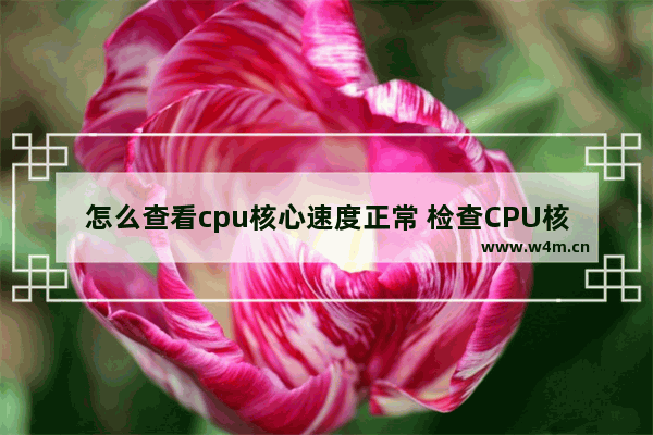 怎么查看cpu核心速度正常 检查CPU核心频率是否正常