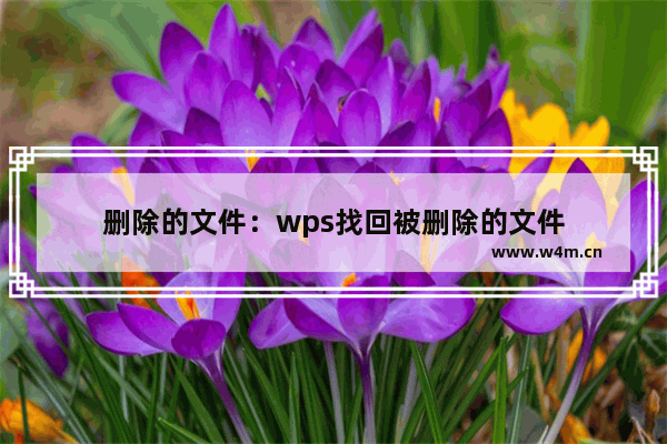 删除的文件：wps找回被删除的文件