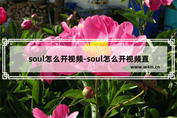 soul怎么开视频-soul怎么开视频直播