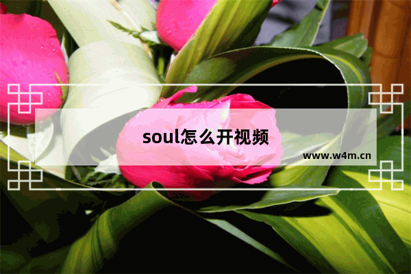 soul怎么开视频