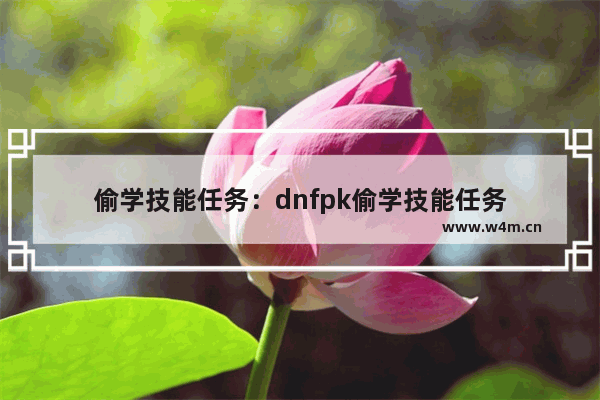 偷学技能任务：dnfpk偷学技能任务