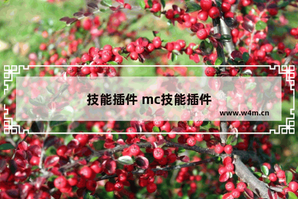 技能插件 mc技能插件