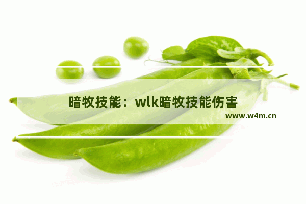 暗牧技能：wlk暗牧技能伤害