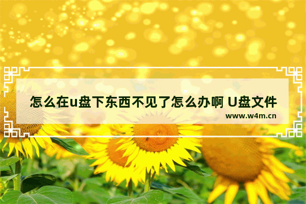 怎么在u盘下东西不见了怎么办啊 U盘文件丢失怎么办