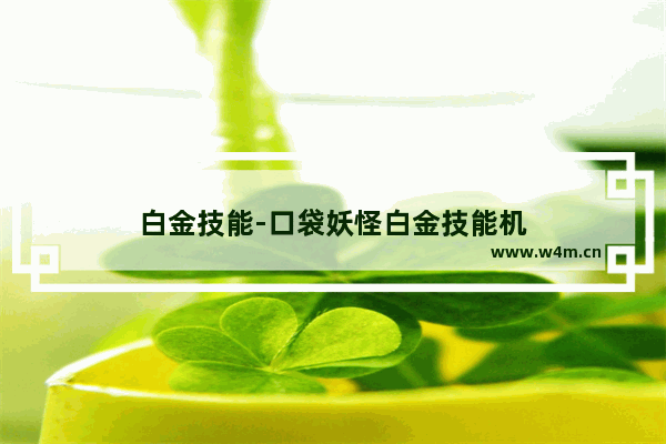 白金技能-口袋妖怪白金技能机