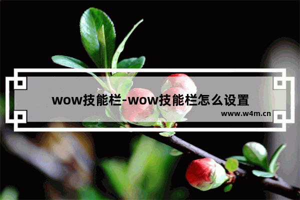 wow技能栏-wow技能栏怎么设置