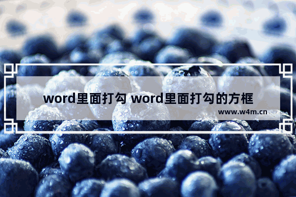 word里面打勾 word里面打勾的方框怎么弄