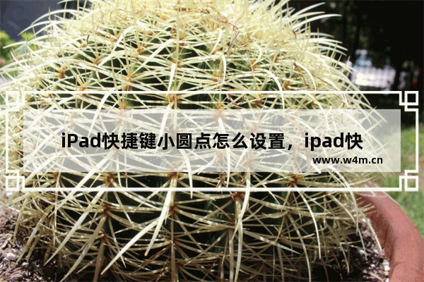 iPad快捷键小圆点怎么设置，ipad快捷键小圆点怎么设置截屏