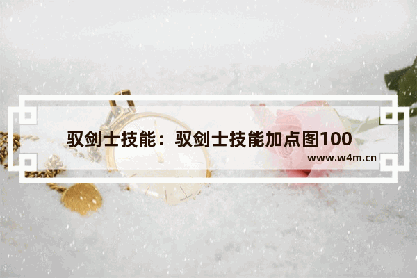 驭剑士技能：驭剑士技能加点图100