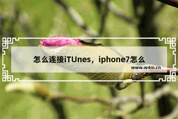 怎么连接iTUnes，iphone7怎么连接itunes恢复