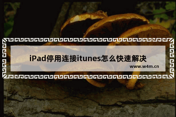 iPad停用连接itunes怎么快速解决