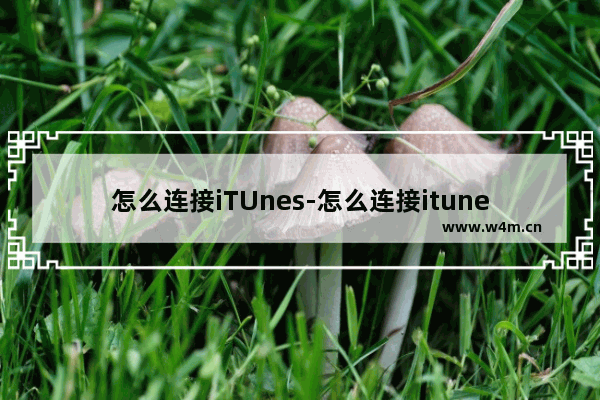 怎么连接iTUnes-怎么连接itunes激活iphone7