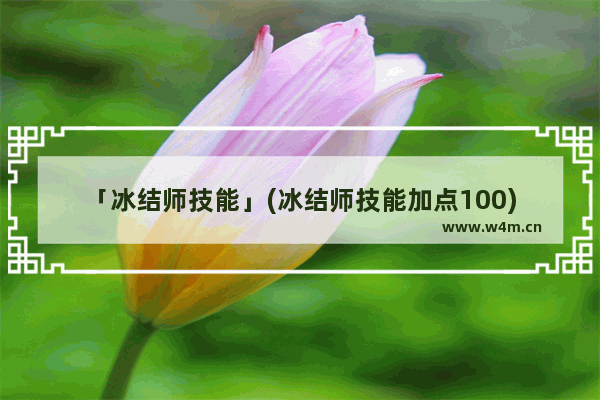 「冰结师技能」(冰结师技能加点100)