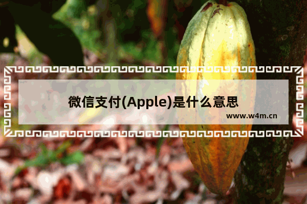 微信支付(Apple)是什么意思