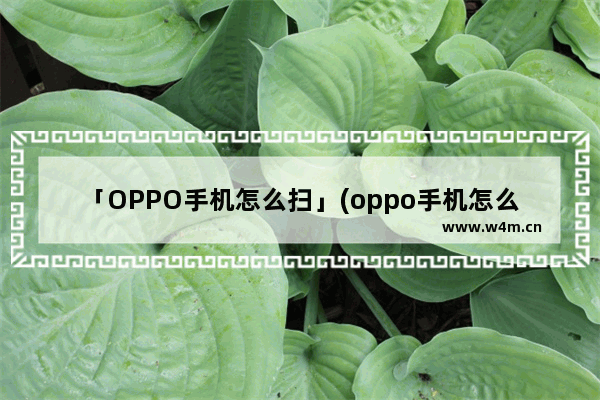 「OPPO手机怎么扫」(oppo手机怎么扫码连网)