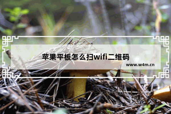 苹果平板怎么扫wifi二维码