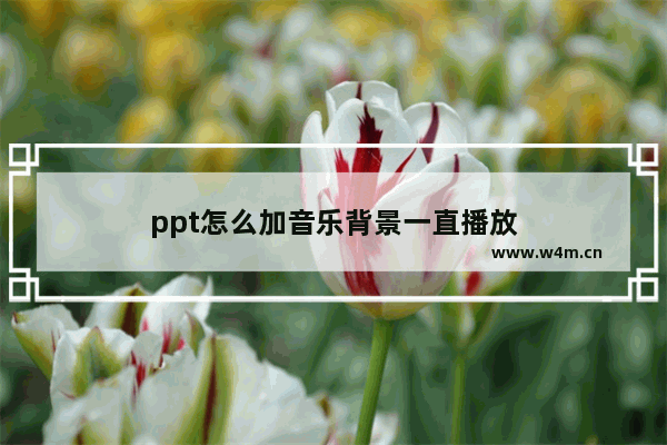 ppt怎么加音乐背景一直播放