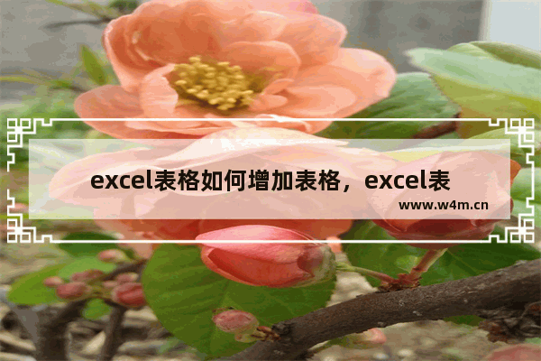 excel表格如何增加表格，excel表格如何增加表格行数