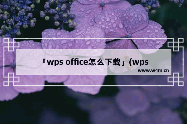 「wps office怎么下载」(wps office怎么下载文件到本地)