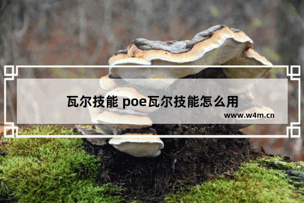 瓦尔技能 poe瓦尔技能怎么用